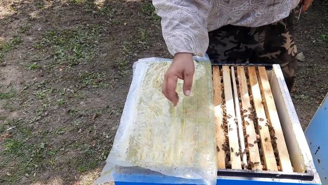 Изоляция Маток на Практике!!! смотреть онлайн