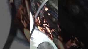 Регулировка ремня ГРМ Renault Logan 1.4