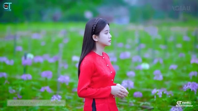 Về Miền Tây - LK Dân Ca Miền Tây 2023, Nhạc Trữ Tình Quê Hương Chọn Lọc - Dân Ca Miền Tây смотреть онлайн