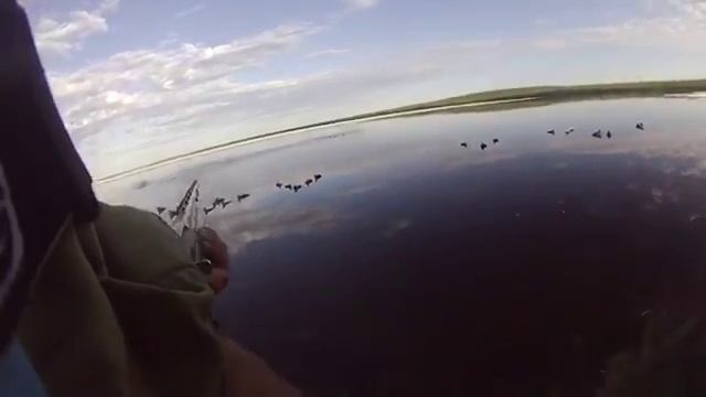 Красавчик охота на турпанов смотреть онлайн