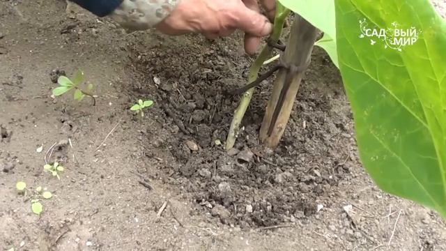 Ремонтные Истории