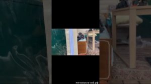 Монтаж мягких окон на металлическую конструкцию. Советы.Почему проще смонтировать каркас из брусков