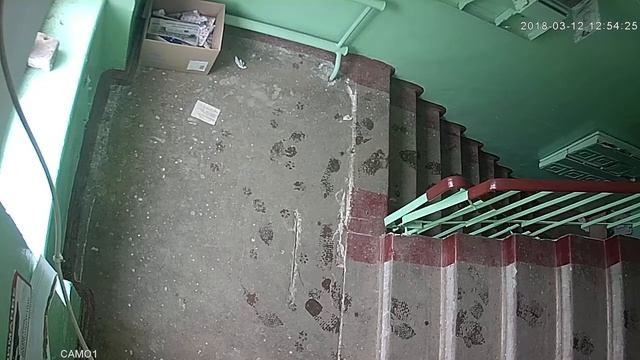 Пример видеонаблюдения в подъезде