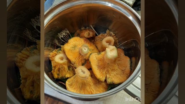 САМЫЙ ВКУСНЫЙ РЕЦЕПТ СОЛЕНЫХ РЫЖИКОВ ХОЛОДНЫМ СПОСОБОМ смотреть онлайн