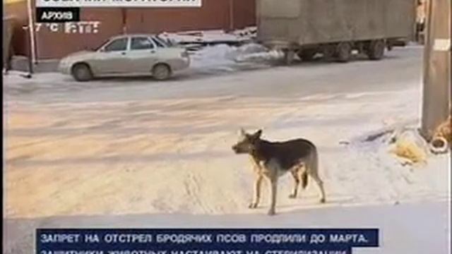 VTS_11_1.VOB смотреть онлайн