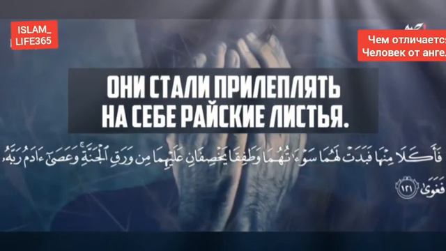 ЧЕМ ОТЛИЧАЕТСЯ ЧЕЛОВЕК ОТ АНГЕЛА? Мудрость сотворения АЛЛАХА ...ISLAM_LIFE365 смотреть онлайн