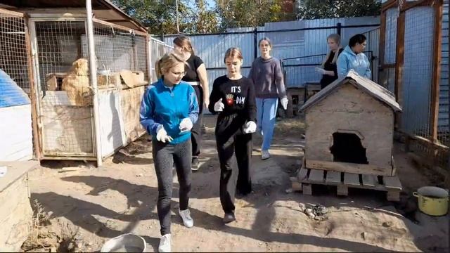 Репортаж о деятельности детского общественного объединения "Скажи это делом!" смотреть онлайн