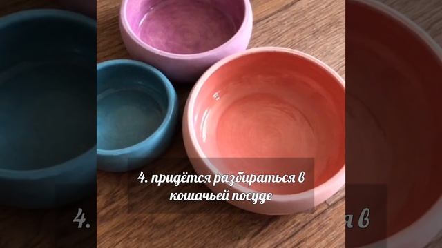 Почему нельзя заводить кота?⛔️ смотреть онлайн
