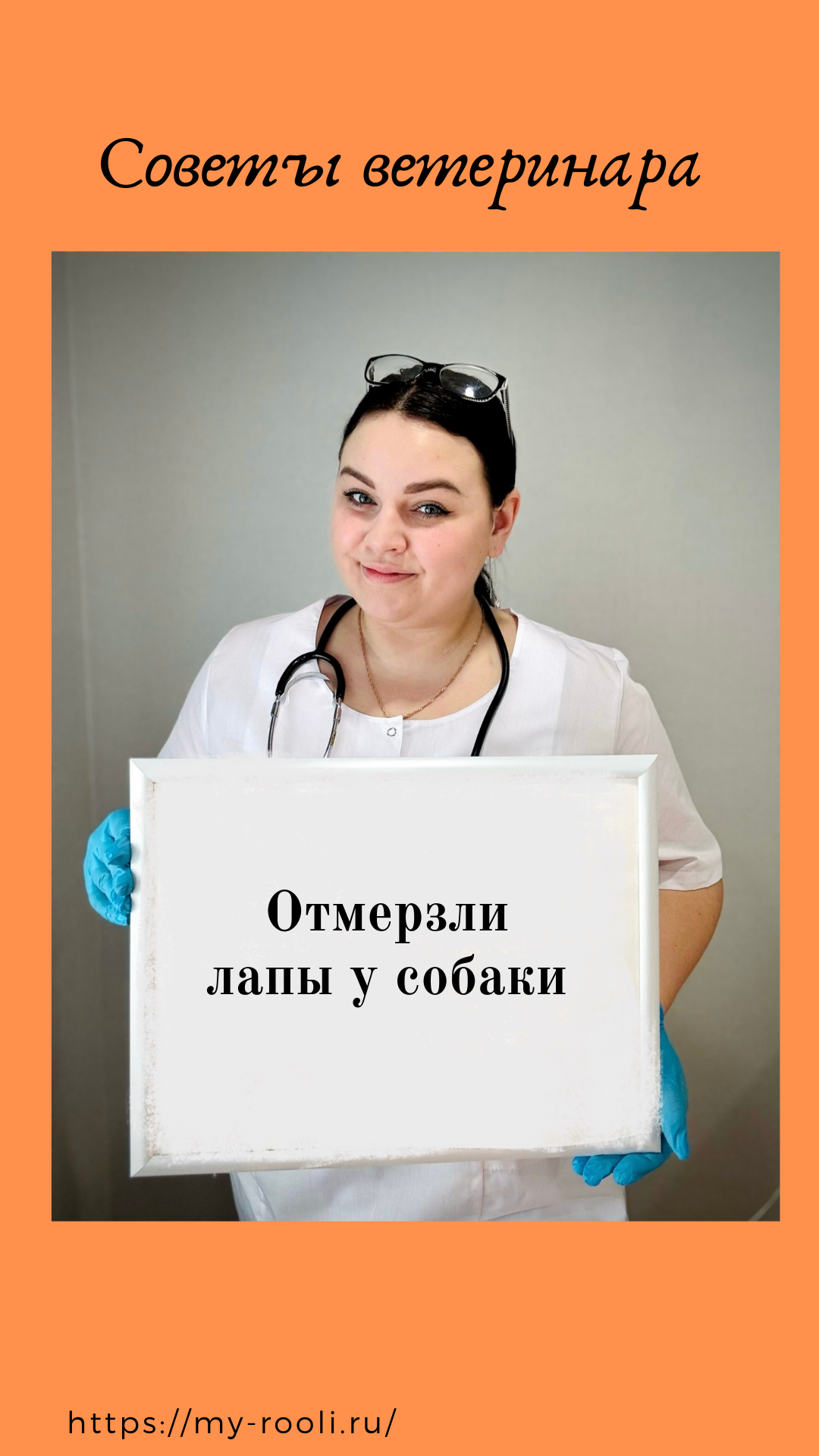 Отмерзли лапы у собаки. смотреть онлайн