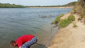 29.08.22. Рыбалка на Ветлуге.  Ловим Лещей.