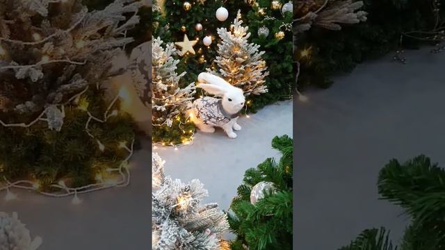 #рождествохристово #зима #новыйгод #Рождество #сочельник #zhivuVmomente смотреть онлайн