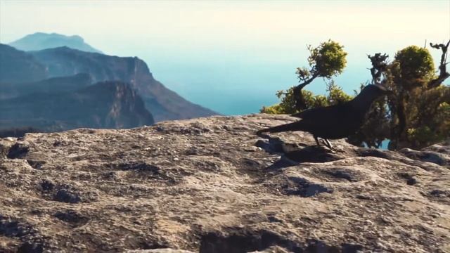 4 минуты в Южной Африке смотреть онлайн