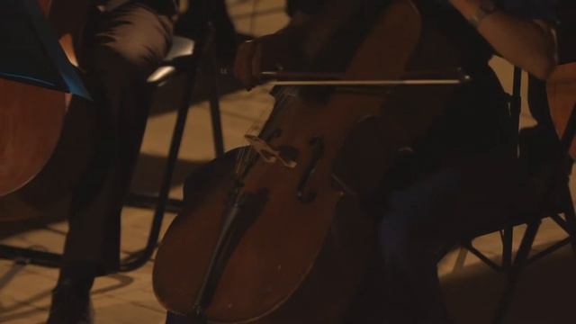 Оркестр Belcanto Orchestra.