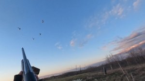 Закрытие весеннего сезона охоты по селезню. Омская область 2024г.