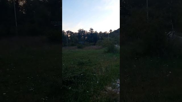 24 января 2023 г. смотреть онлайн