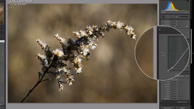 Developing Sony Nex-6 Raw Files in Adobe Lightroom смотреть онлайн
