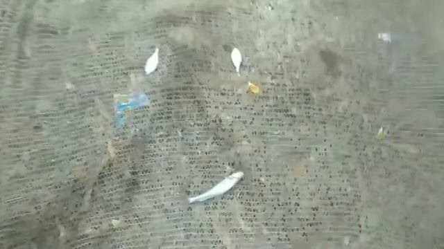 Ловля рыбы на паук (Ч.1) смотреть онлайн