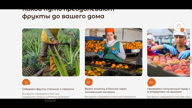 Лендинг для доставки экзотических фруктов на Tilda смотреть онлайн