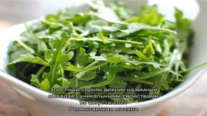 Как сохранить рукколу на зиму, используя простые и легкие способы