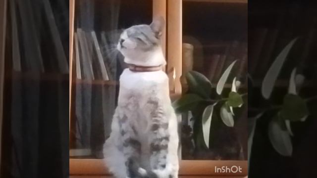 ??? смотреть онлайн