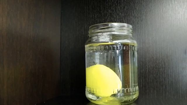 Как вырастить черепаху ? из яйца в домашних условиях ➄ Опыты с водой смотреть онлайн