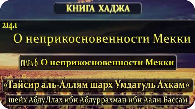 214.1 Глава 6. О неприкосновенности Мекки смотреть онлайн