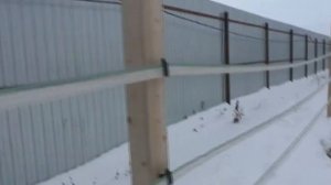 Электропастух для лошадей. Применение