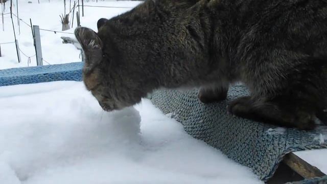 DSCF3645 смотреть онлайн