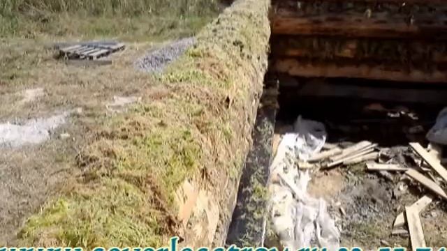 Срубы из зимнего Северного леса с доставкой смотреть онлайн