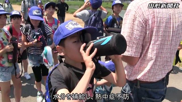 人々の暮らし守る施設の大切さ学ぶ　「最上川200キロを歩く」第9週 смотреть онлайн