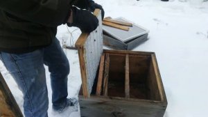 Опоносились пчелы. Что делать?