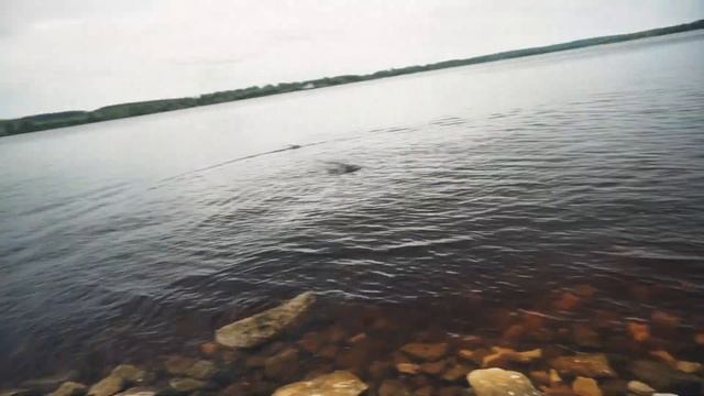 Сплав на байдарках по р.Керженец - Часть 5 смотреть онлайн