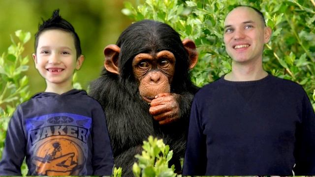 ХРОМАКЕЙ ЧЕЛЛЕНДЖ Вызов GREEN SCREEN CHALLENGE / Зеленый фон Для детей kids children смотреть онлайн