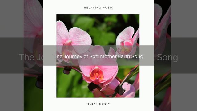 Feel Unique Sleep with Soothing Nature Sounds for Calm down pt. 1 смотреть онлайн