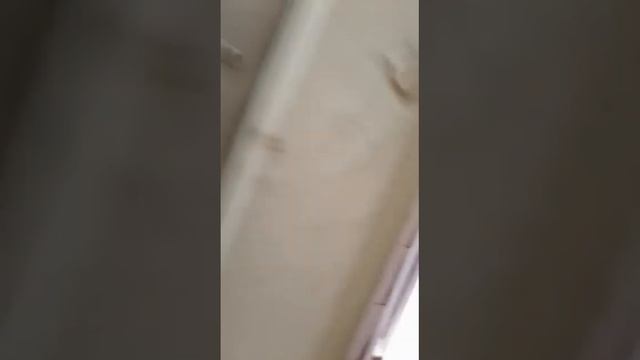 РЭО ГИБДД Норильск смотреть онлайн