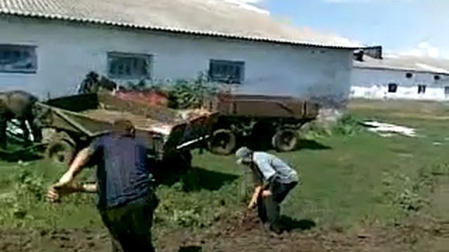 Драка алкашей смотреть онлайн