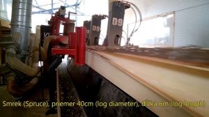 Как работает автоматический дисковый лесопильный комплекс D9 StrojCAD (Словакия)