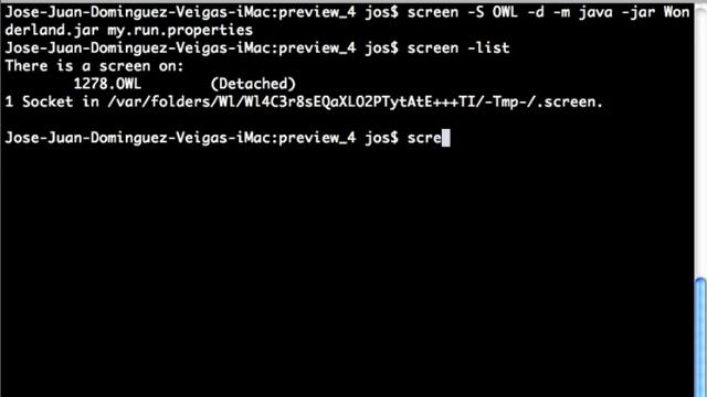 Launching Open Wonderland with screen смотреть онлайн