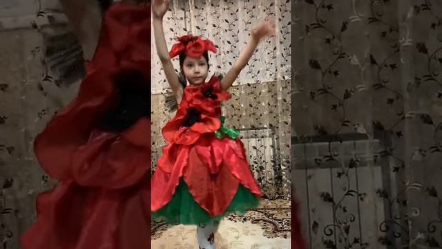 Танец маки смотреть онлайн