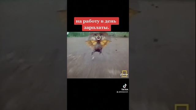 зарплата #втопе