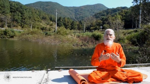 How to Transition to a Plant-Based Diet