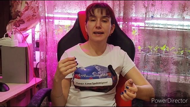 нужна ли теплица? что лучше: открытый или закрытый грунт? смотреть онлайн