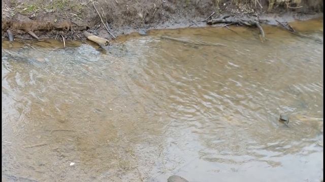 КП 177 Устройство Солнечной Системы (Часть 53) смотреть онлайн