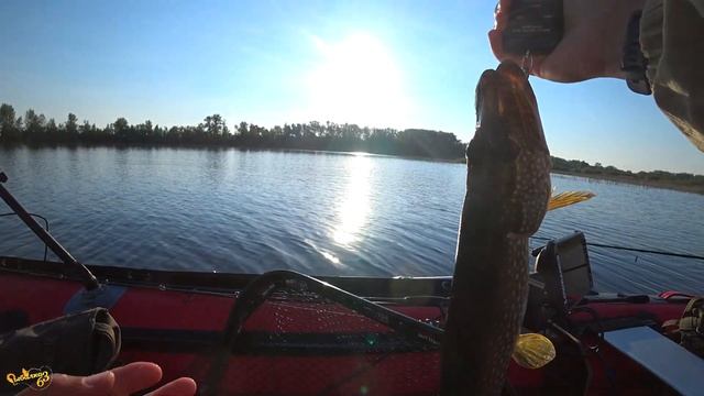 Рыболов на Реке