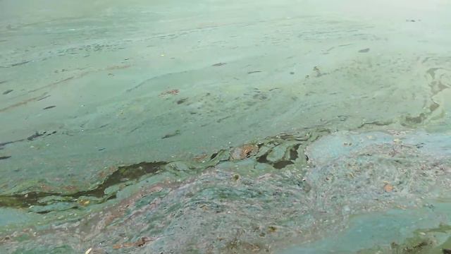 Первый карьер Голубых озер. 28 июля 2021 г. смотреть онлайн