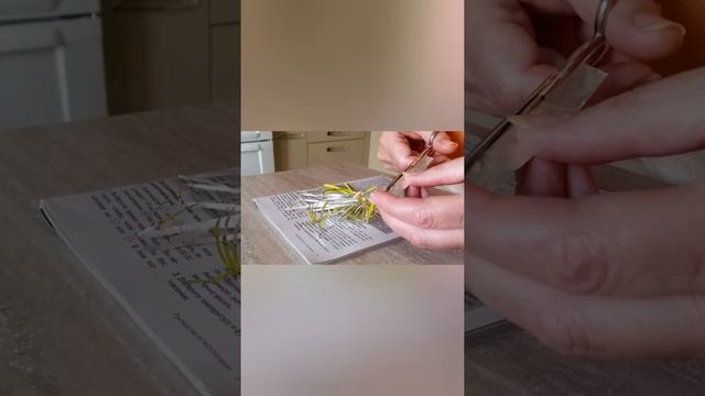 Дешево и сердито. Мои мокрые обои. смотреть онлайн