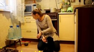 Дрессировка щенка от 1 до 3 месяцев - как правильно обучать щенка от одного и трех месяцк