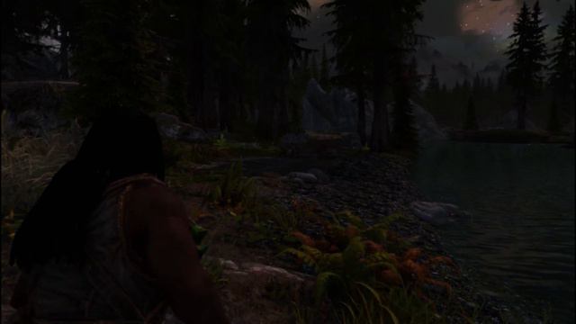 ZLLC Collection: A Preset Pack for Racemenu Skyrim SE смотреть онлайн