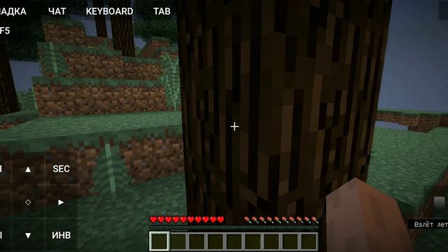 Туториал как запустить Pojav Launcher