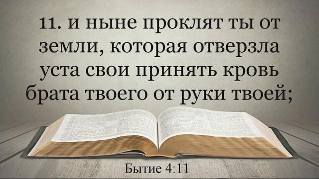 Лучшая Видео Библия. Чтение Бытие. Главы 3-5. Синодальный перевод смотреть онлайн